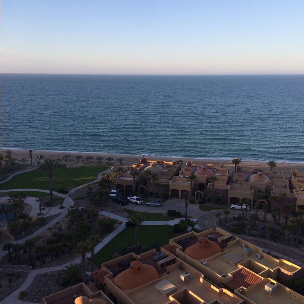 Meet your Posher, Delia